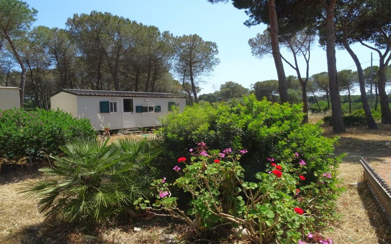 Villaggio Nurral 3* Fertilia